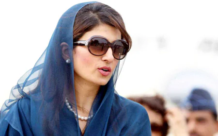 ‘ভারত বিপদ ডেকে আনছে’, সাবেক পাক পররাষ্ট্রমন্ত্রীর সতর্কতা