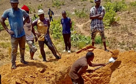 নাইজেরিয়ায় ১০ হাজারেরও বেশি মানুষ নিহত হয়েছে : অ্যামনেস্টি