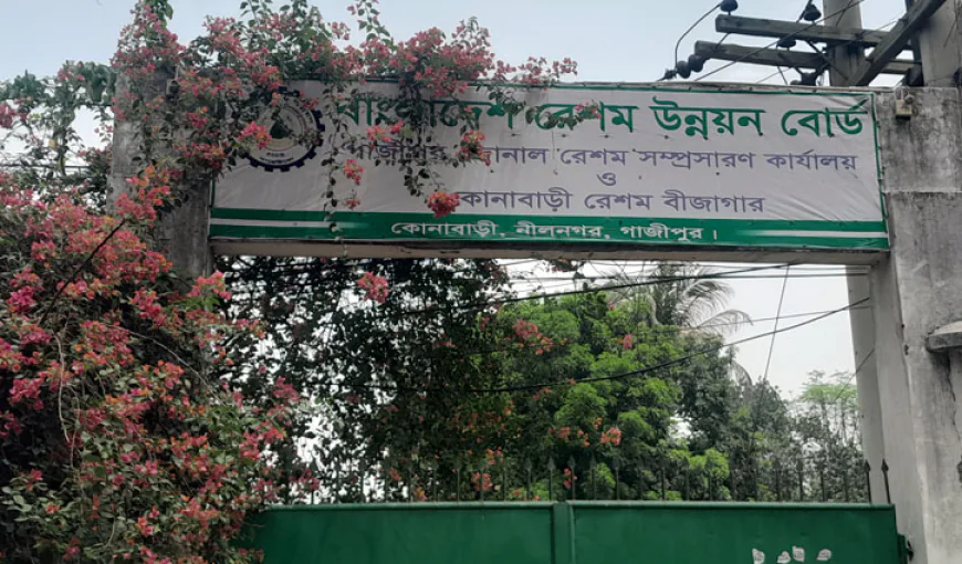 গুটি ও পোকা উৎপাদন বন্ধ, রেশম সম্প্রসারণ কেন্দ্রে সবজি চাষ!