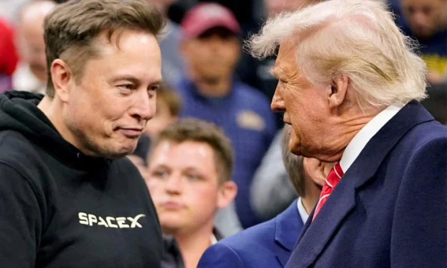 পদত্যাগের ঘোষণা দিলেন ইলন মাস্ক