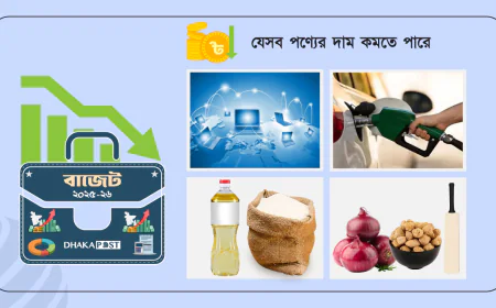 বাজেটে দাম কমার যত সুখবর