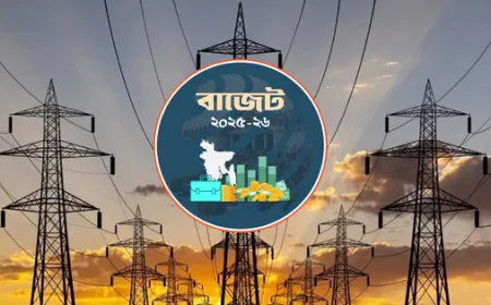 বিদ্যুতে বরাদ্দ কমেছে প্রায় ৯ হাজার কোটি টাকা