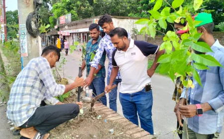জলবায়ু পরিবর্তন মোকাবেলায় বাগেরহাট ছাত্রদলের বৃক্ষরোপণ অভিযান