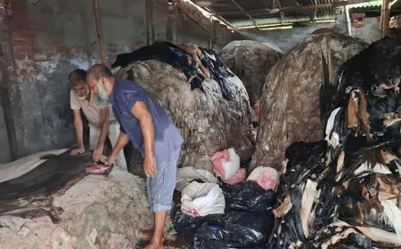 কাঁচা চামড়া সংগ্রহে আড়তদারদের ব্যস্ততা, উপেক্ষিত মৌসুমি ব্যবসায়ীরা