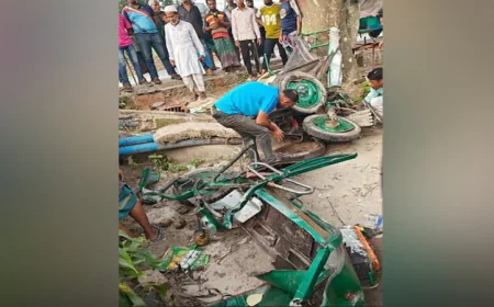 খুলনায় ট্রাকচাপায় শিশুসহ দুইজনের মৃত্যু