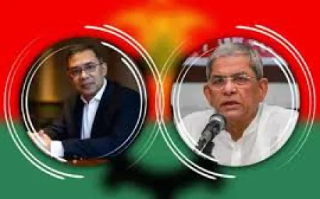 শিগগিরই দেশে ফিরবেন তারেক রহমান:  মির্জা ফখরুল