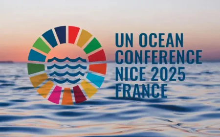 সমুদ্র সংরক্ষণে অগ্রগতির বার্তা দিয়ে শেষ হচ্ছে জাতিসংঘ সম্মেলন