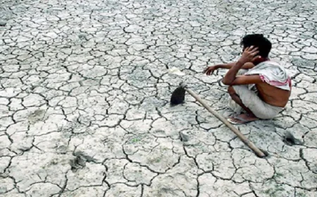 ১৭ জুন, বিশ্ব খরা ও মরুকরণ প্রতিরোধ দিবস