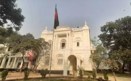 গণ-অভ্যুত্থানে কোনাবাড়ীতে কলেজছাত্র হৃদয় হত্যা: ১৭ আগস্ট তদন্ত প্রতিবেদন দাখিলের নির্দেশ