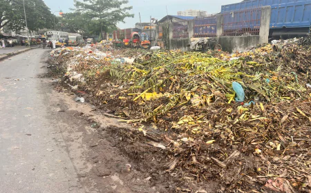 মিরপুর দিয়াবাড়ি সংলগ্ন কাঁচামাল আরতের সামনে ময়লার স্তুপ, জনদুর্ভোগ চরমে