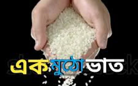 একমুঠো ভাত