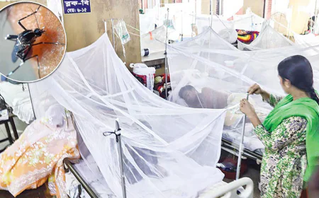 ডেঙ্গু : নিয়ন্ত্রণের বাইরে দুই সিটির ১৩ ওয়ার্ড