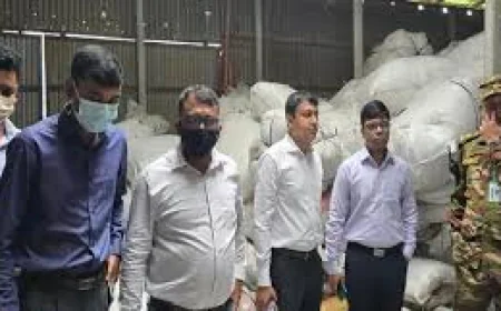 গাজীপুরে পলিথিন কারখানায় অভিযান, মালিকের ৩ মাসের কারাদণ্ড