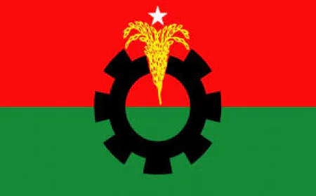 জুলাই গণঅভ্যুত্থানে শোক ও বিজয়ের বর্ষপূর্তি পালনে ৭ উপ-কমিটি বিএনপির