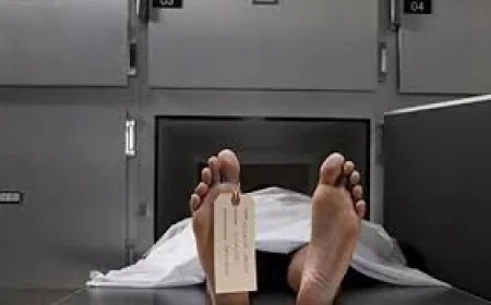 গোপালগঞ্জে সড়ক দুর্ঘটনায় বৃদ্ধ নিহত