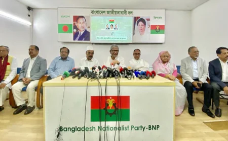 রোহিঙ্গা প্রত্যাবাসনে চীনকে কার্যকর ভূমিকা রাখার আহ্বান বিএনপির