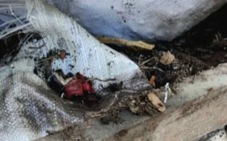 সাবেক ইউপি সদস্যের রান্নাঘরে লুকিয়ে রাখা বোমা বিস্ফোরণ