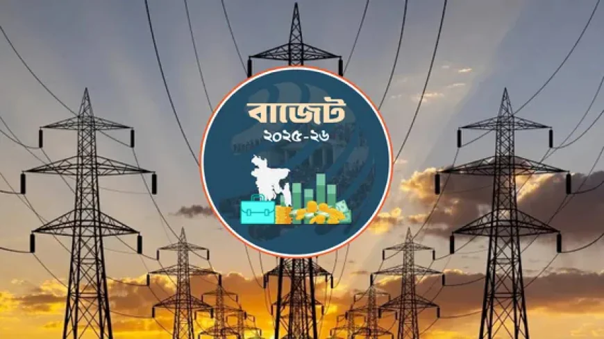 বিদ্যুতে বরাদ্দ কমেছে প্রায় ৯ হাজার কোটি টাকা