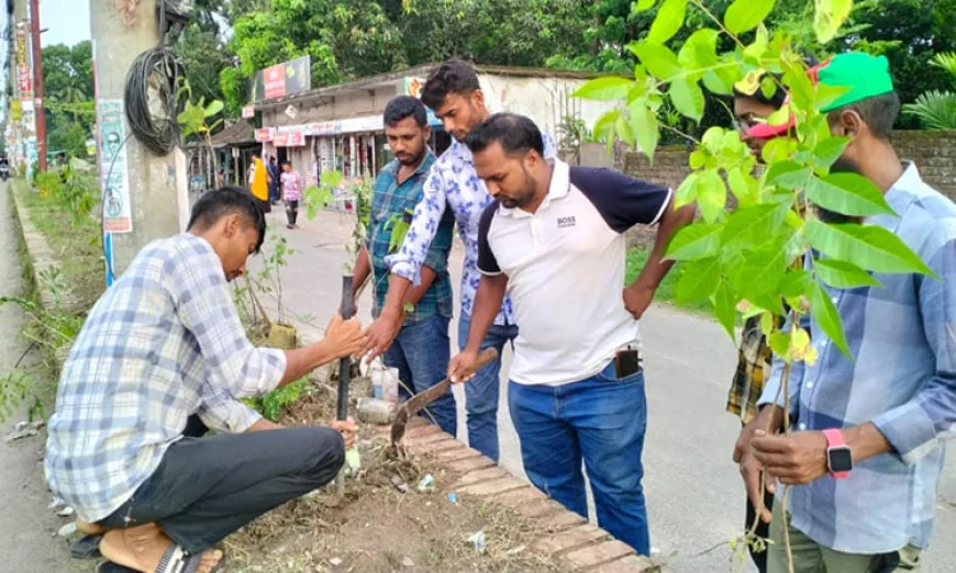 জলবায়ু পরিবর্তন মোকাবেলায় বাগেরহাট ছাত্রদলের বৃক্ষরোপণ অভিযান