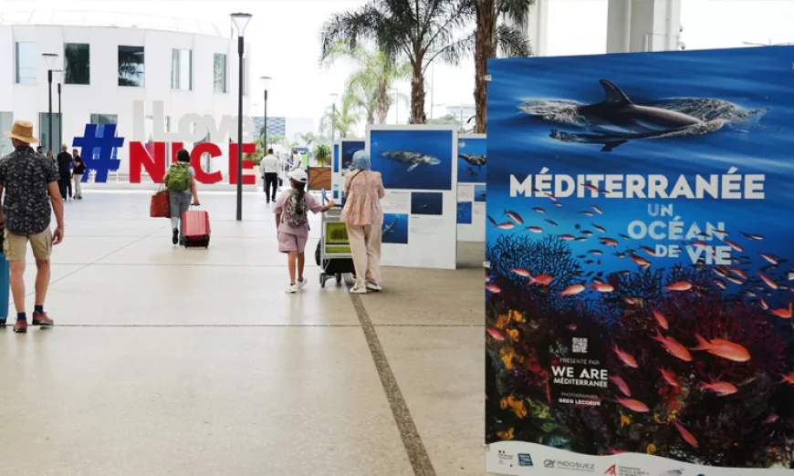 মহাসাগরের সংকট মোকাবেলায় জাতিসংঘ সম্মেলন শুরু