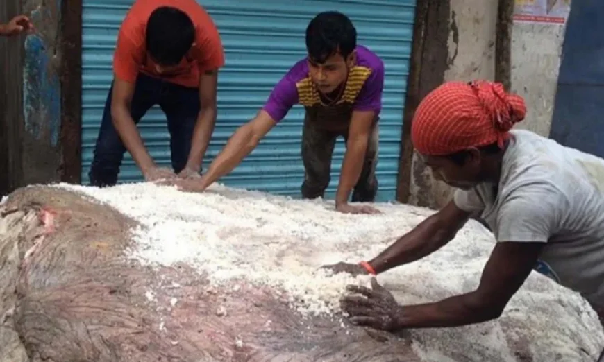 চট্টগ্রামে সংরক্ষণ করা হয়েছে ৭ লাখ ৭৪ হাজার চামড়া