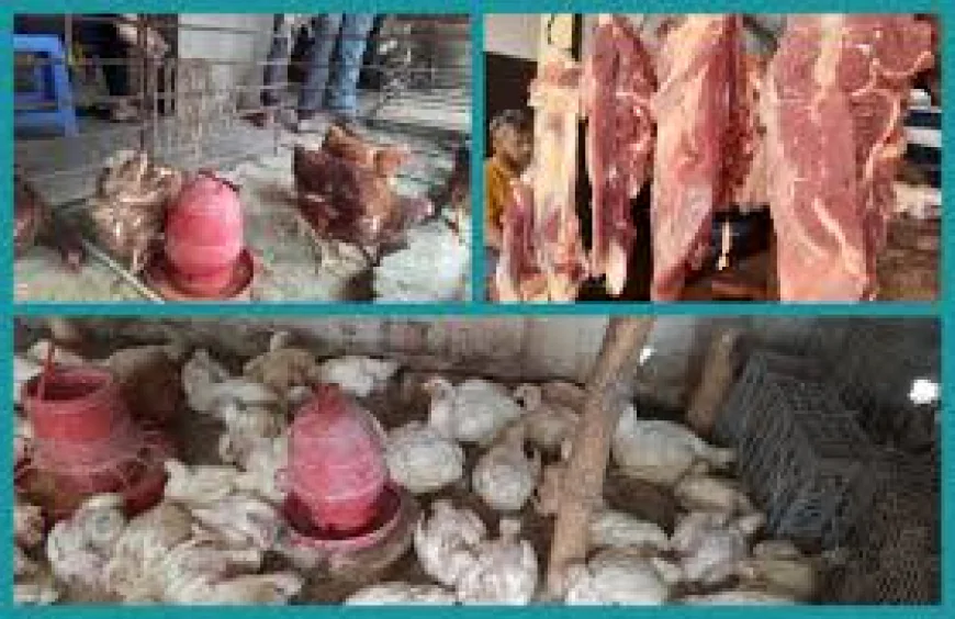 চাহিদা কম, তবুও চড়া মাংসের দাম