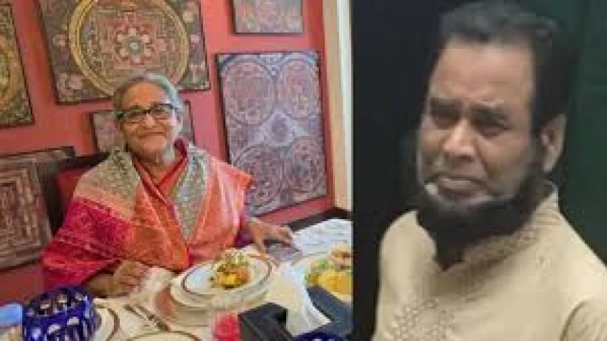 শেখ হাসিনার বাবুর্চির এত ক্ষমতা!