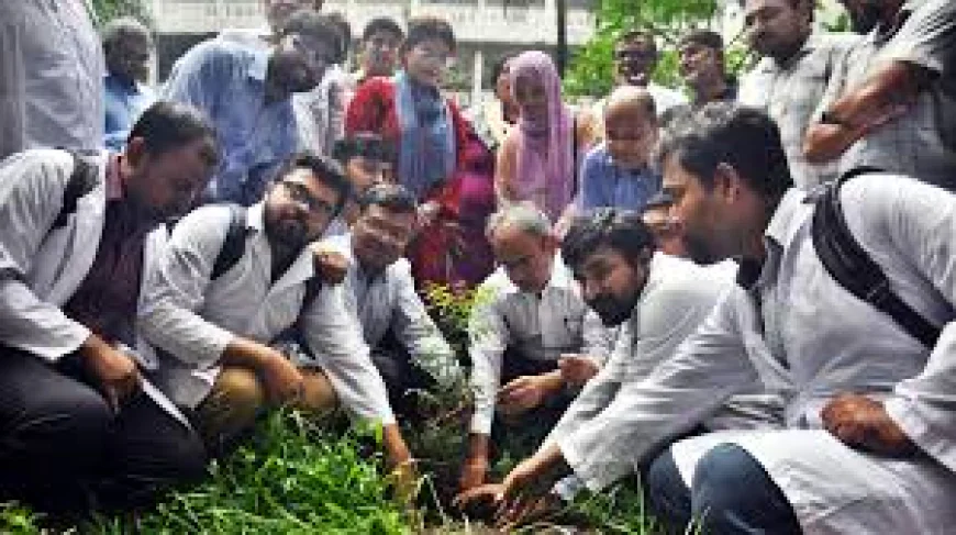 ডা. জুবাইদা রহমানের জন্মদিনে ঢামেক প্রাঙ্গণে বৃক্ষরোপণ