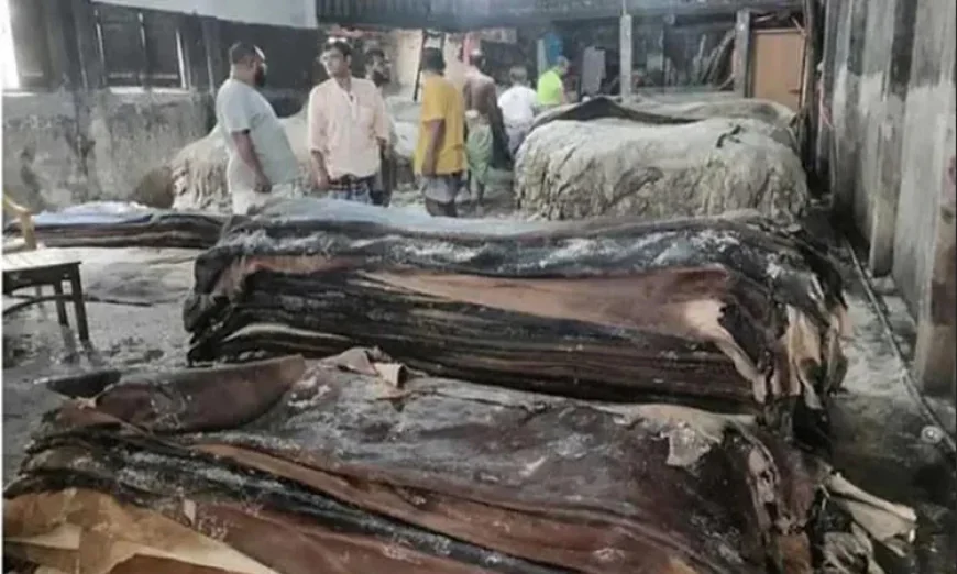 চট্টগ্রামে কোরবানির লবণযুক্ত কাঁচা চামড়া বিক্রি শুরু, লাভ নিয়ে শঙ্কায় আড়তদাররা