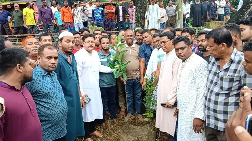 মাগুরার শ্রীপুরে কৃষকদলের উদ্যোগে বৃক্ষরোপণ