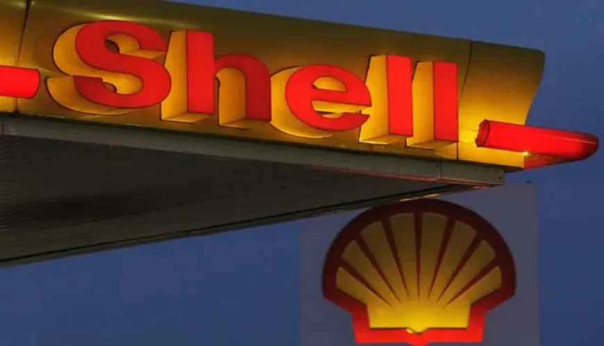 পরিবেশ পুনর্বাসনের জন্য সেলের কাছে ১২ বিলিয়ন ডলার ক্ষতিপূরণ দাবি নাইজেরিয়ার রাজার