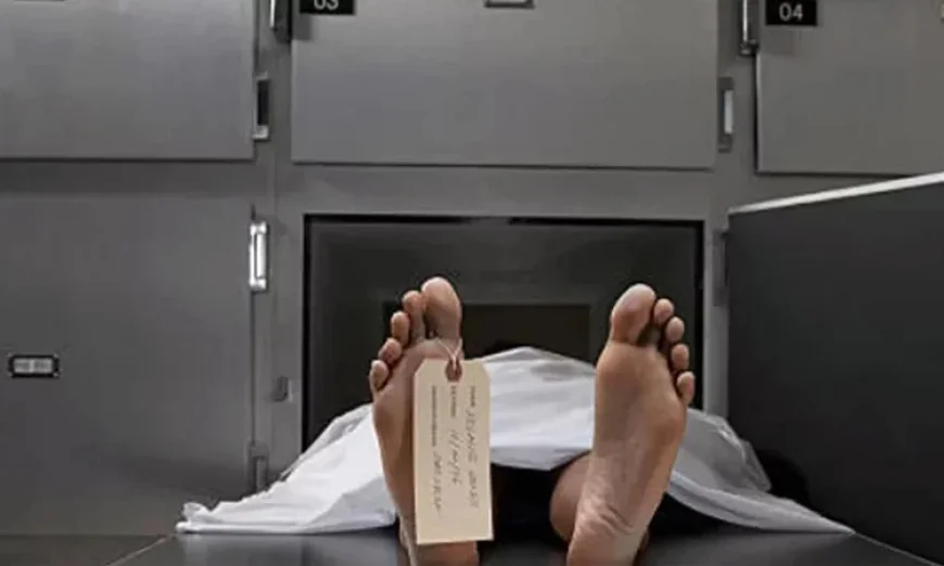 কিশোরগঞ্জে সড়ক দুর্ঘটনায় একজন নিহত