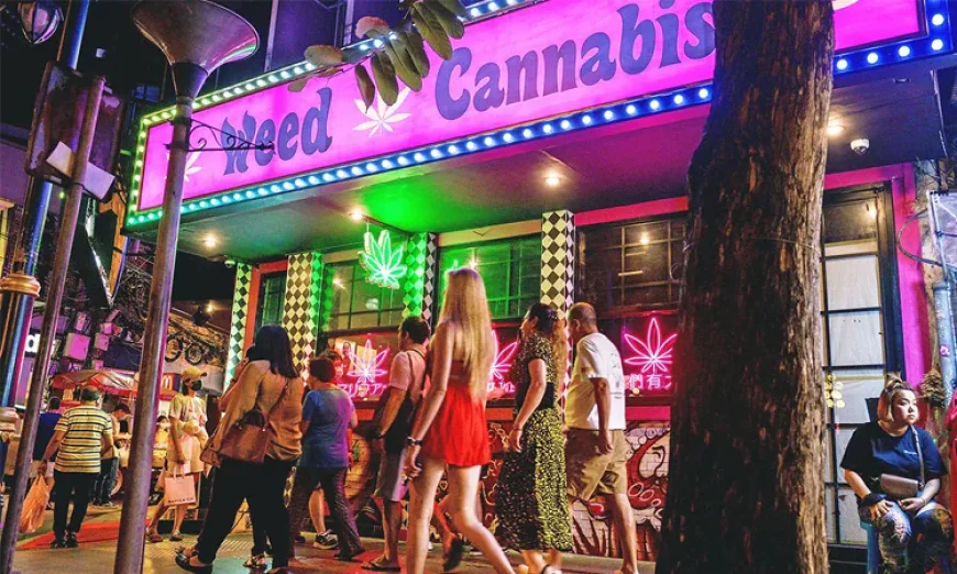 গাঁজা বিক্রিতে কঠোর বিধিনিষেধে উদ্বেগ থাই দোকান মালিকদের