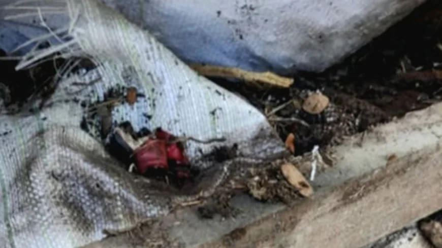 সাবেক ইউপি সদস্যের রান্নাঘরে লুকিয়ে রাখা বোমা বিস্ফোরণ