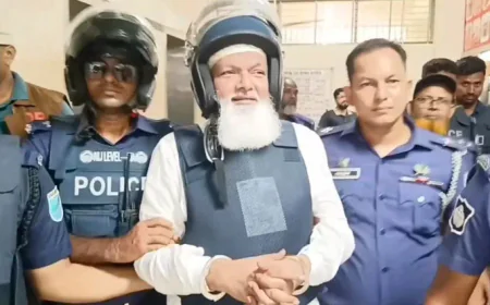 সাত দিনের রিমান্ডে সাবেক এমপি ফয়সাল বিপ্লব