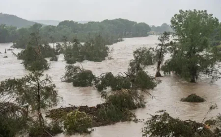 টেক্সাসে আকস্মিক বন্যায় কমপক্ষে ১৩ জনের প্রাণহানি, নিখোঁজ ২০