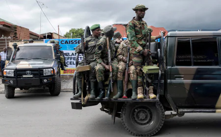 নাইজারে হামলায় ১০ সেনা নিহত, আহত ১৫
