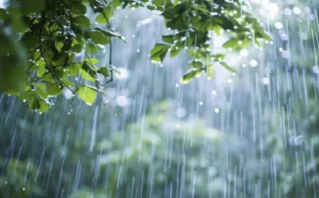 টানা পাঁচ দিন বৃষ্টি হতে পারে