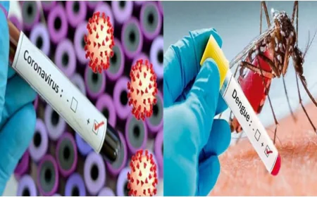 সিলেটে আরো দুইজনের করোনা ও ডেঙ্গু শনাক্ত