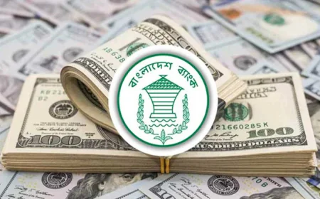 জুলাই মাসের প্রথম ৬ দিনে রেমিট্যান্স প্রবাহ ১৫.৩৪ শতাংশ বৃদ্ধি পেয়েছে