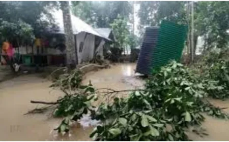 বন্যায় বারবার ভেসে যায় স্বপ্ন, টেকসই বাঁধ চায় ফেনীবাসী