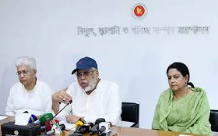 এনবিআর অধ্যাদেশ সংশোধনে সুপারিশ করা হবে : জ্বালানি উপদেষ্টা