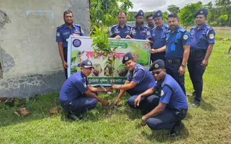 কুয়াকাটায় ৬ হাজার বৃক্ষরোপণ শুরু
