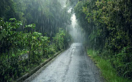 সারাদেশে হালকা থেকে মাঝারি বৃষ্টির সম্ভাবনা