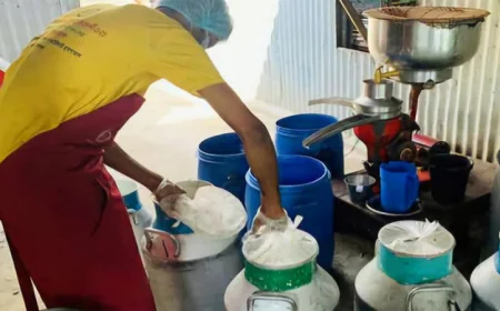 প্রতিদিন কোটি টাকার দুধ বিক্রি, সিরাজগঞ্জে বড় হচ্ছে দুগ্ধজাত পণ্যের বাজার