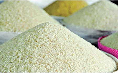 আগস্ট থেকে শুরু হচ্ছে খাদ্য বান্ধব কর্মসূচি