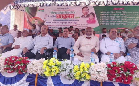 নওগাঁর নজিপুর পৌর বিএনপি’র সম্মেলনে সভাপতি মামুন, সম্পাদক শাহীন