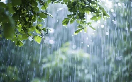 দেশের বিভিন্ন স্থানে বৃষ্টির সম্ভাবনা