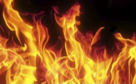 শেওড়াপাড়ায় বহুতল ভবনের আগুন নিয়ন্ত্রণে