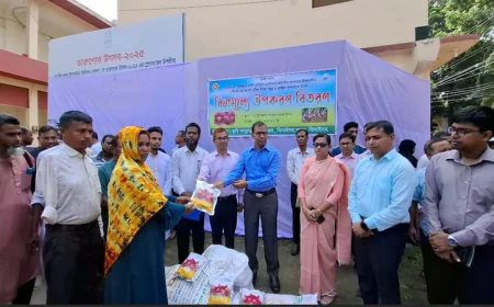 বিনামূল্যে পেঁয়াজ বীজ ও সার পেলেন ঝিনাইদহের ৮৫০ কৃষক